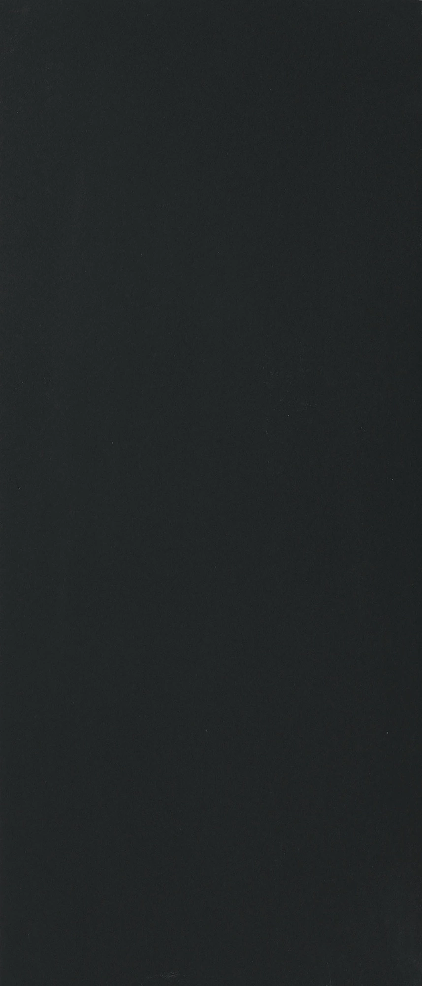 Floor Gres B&W Black Naturale R9 6Mm 120X280 Ret 765515