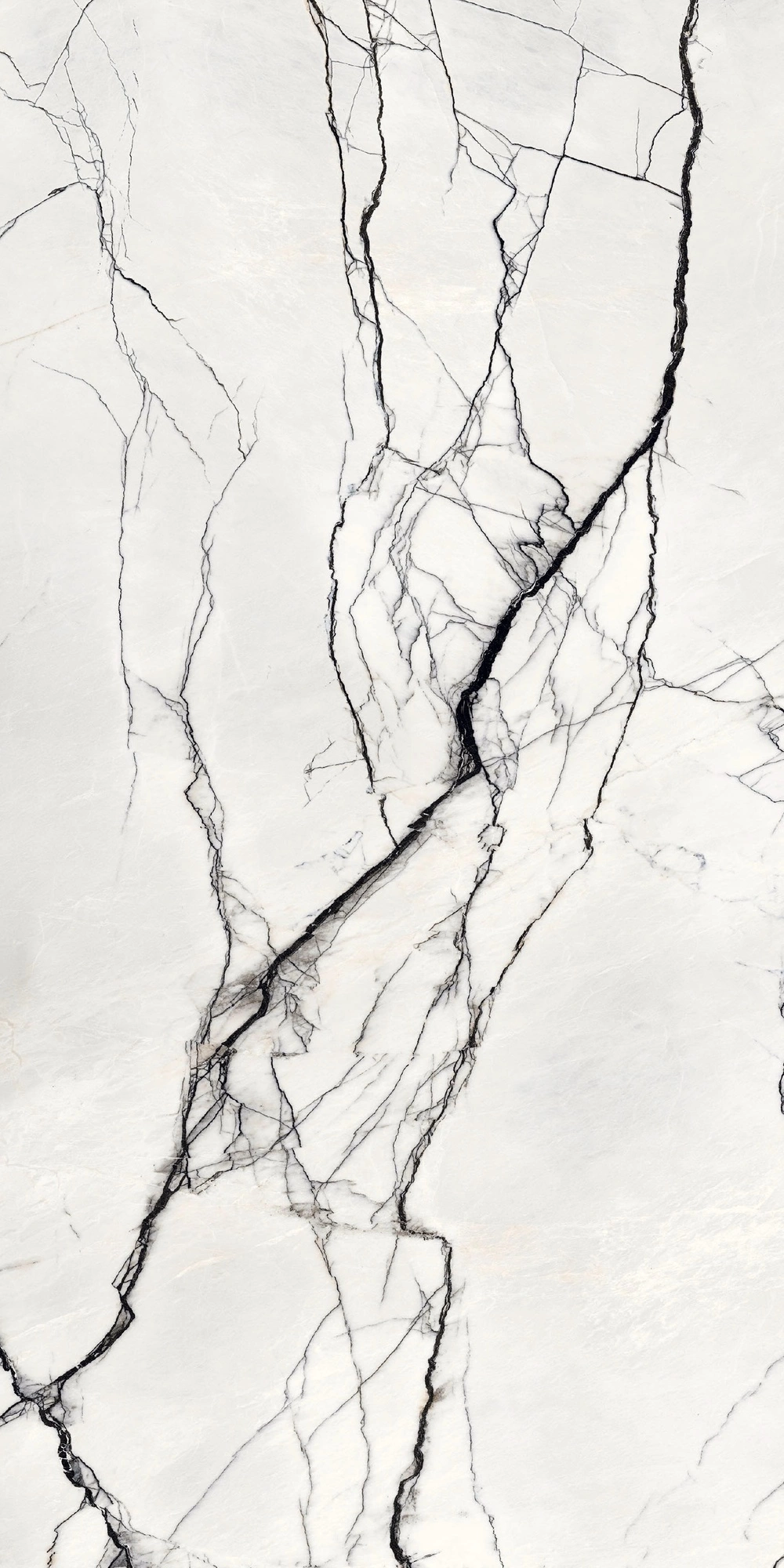 Floor Gres B&W Breach Naturale R9 6Mm 160X320 Ret 765497