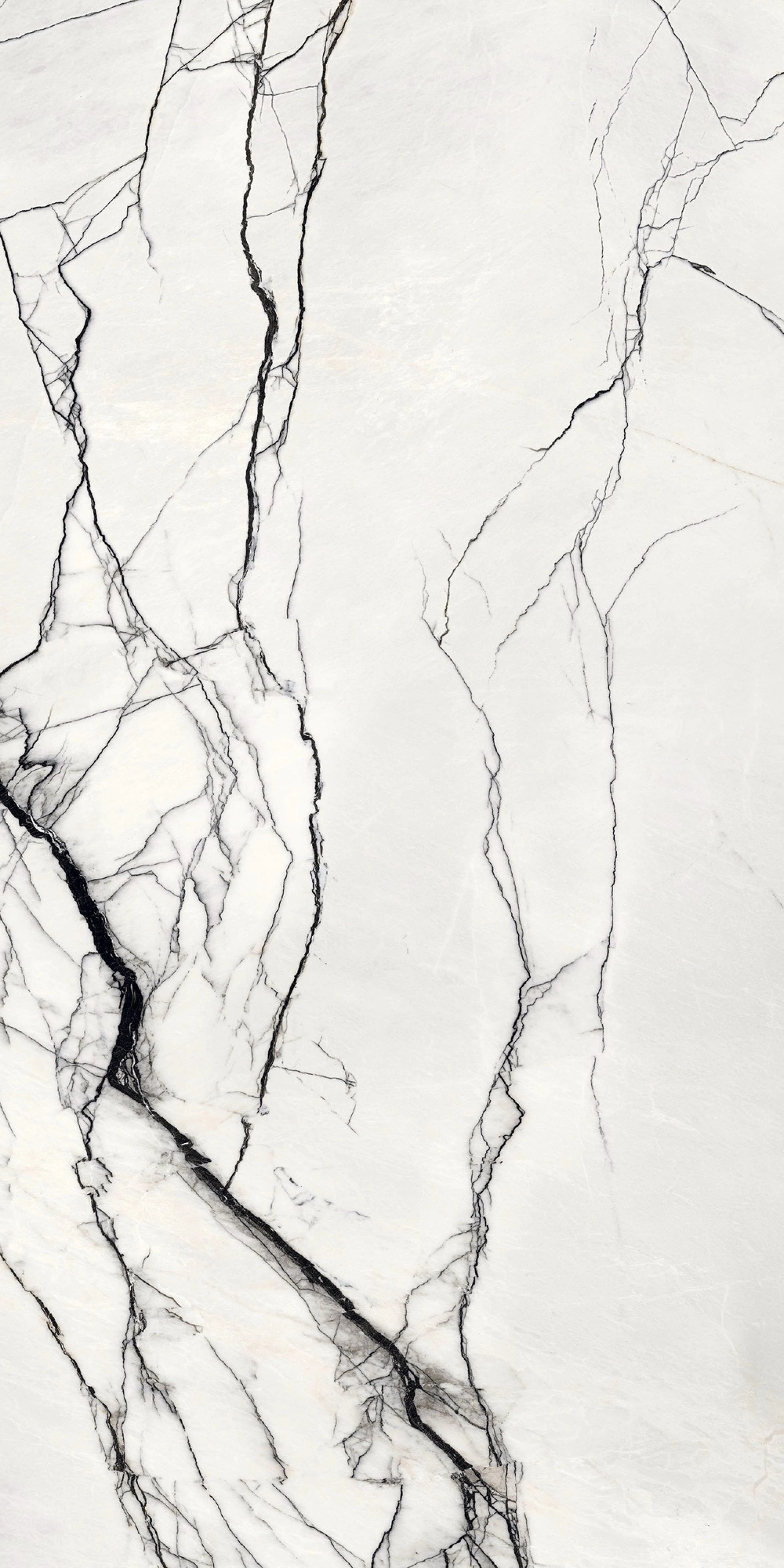 Floor Gres B&W Breach Naturale R9 6Mm 160X320 Ret 765497