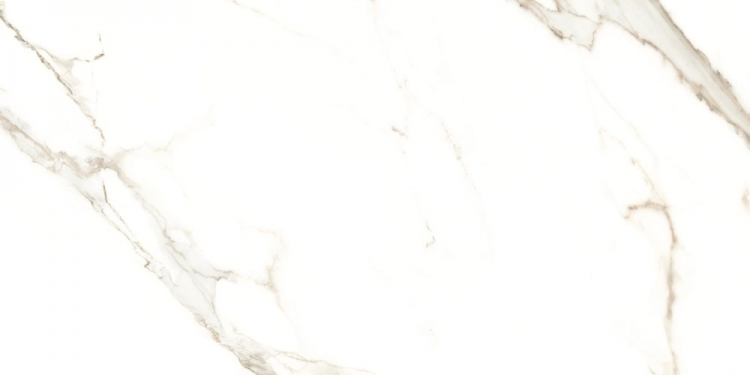 Cerdomus Fondinat.Rettificat60X120 64989