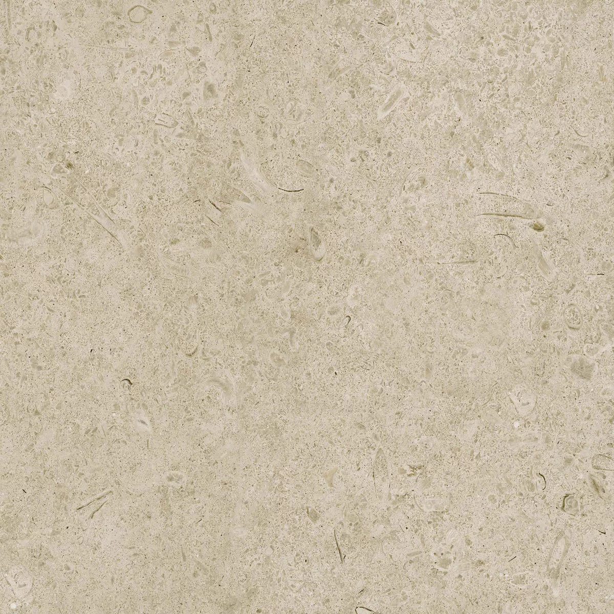 Marazzi Caracter Greige Rt M97H