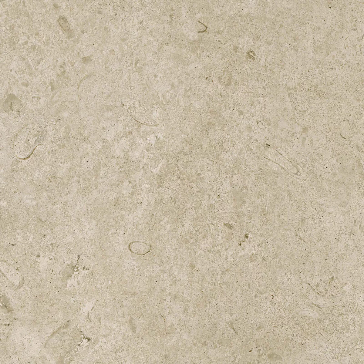 Marazzi Caracter Greige Rt M97H