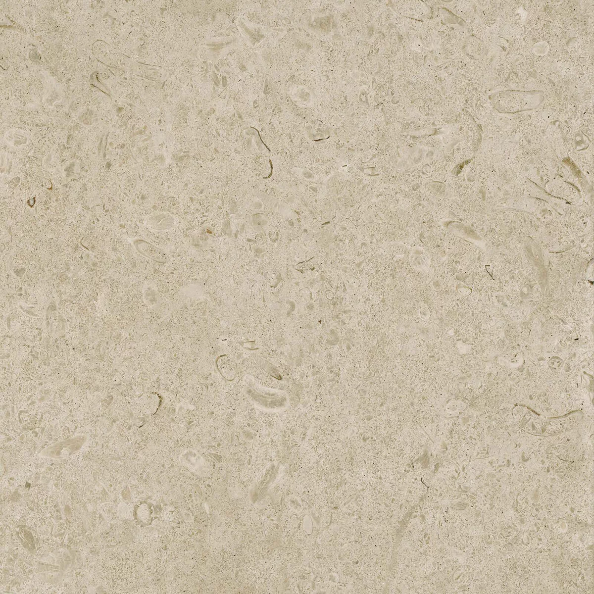 Marazzi Caracter Greige Rt M97H