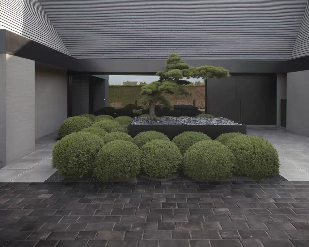 Kronos Gent Anticato Lappato Rettificato 8429