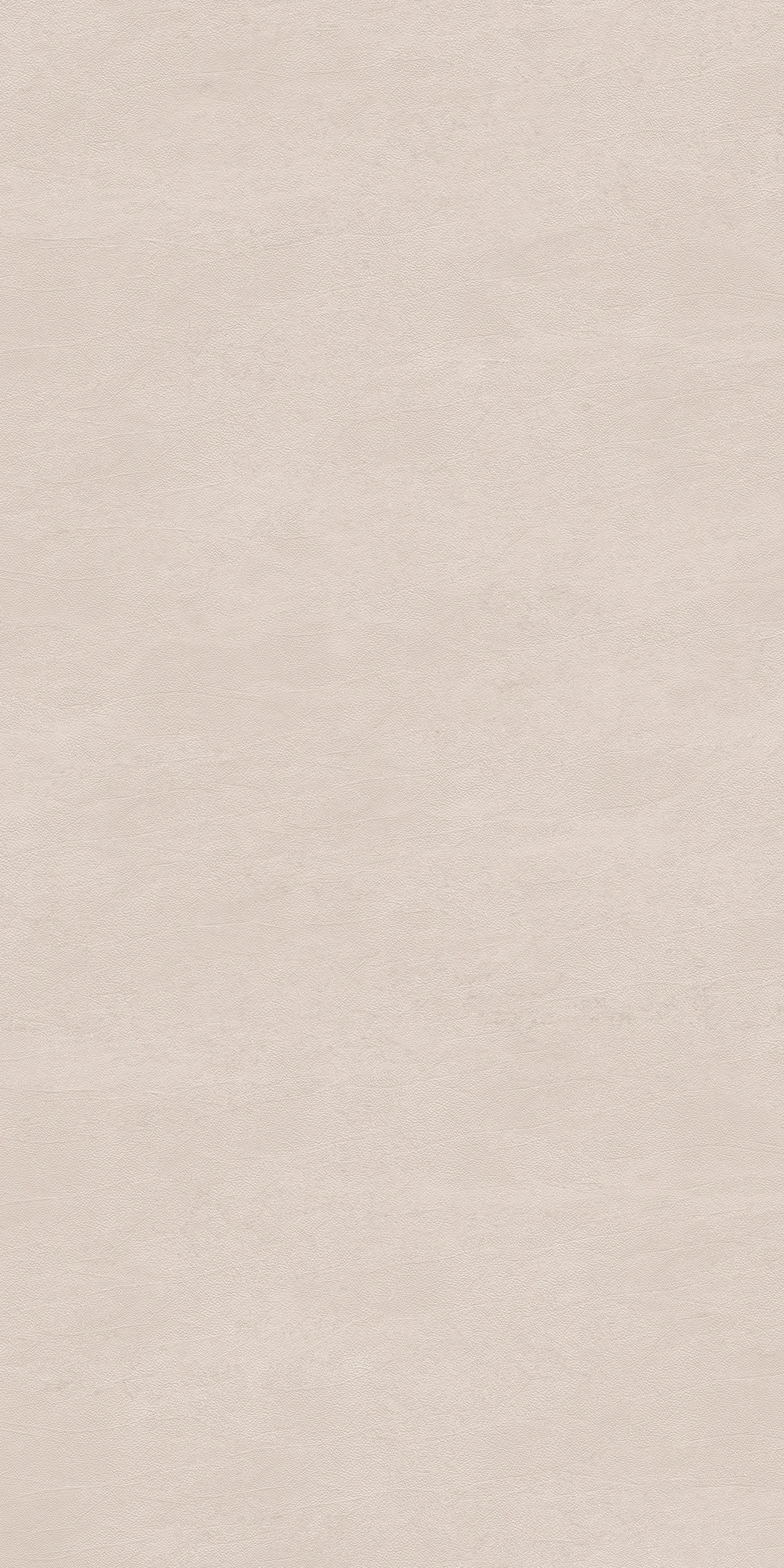 Cedit Chimera Radici Beige Mat 6Mm 120X240R 769426