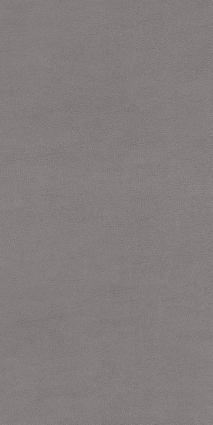 Cedit Chimera Radici Grigio Mat 6Mm 60X120R 769475