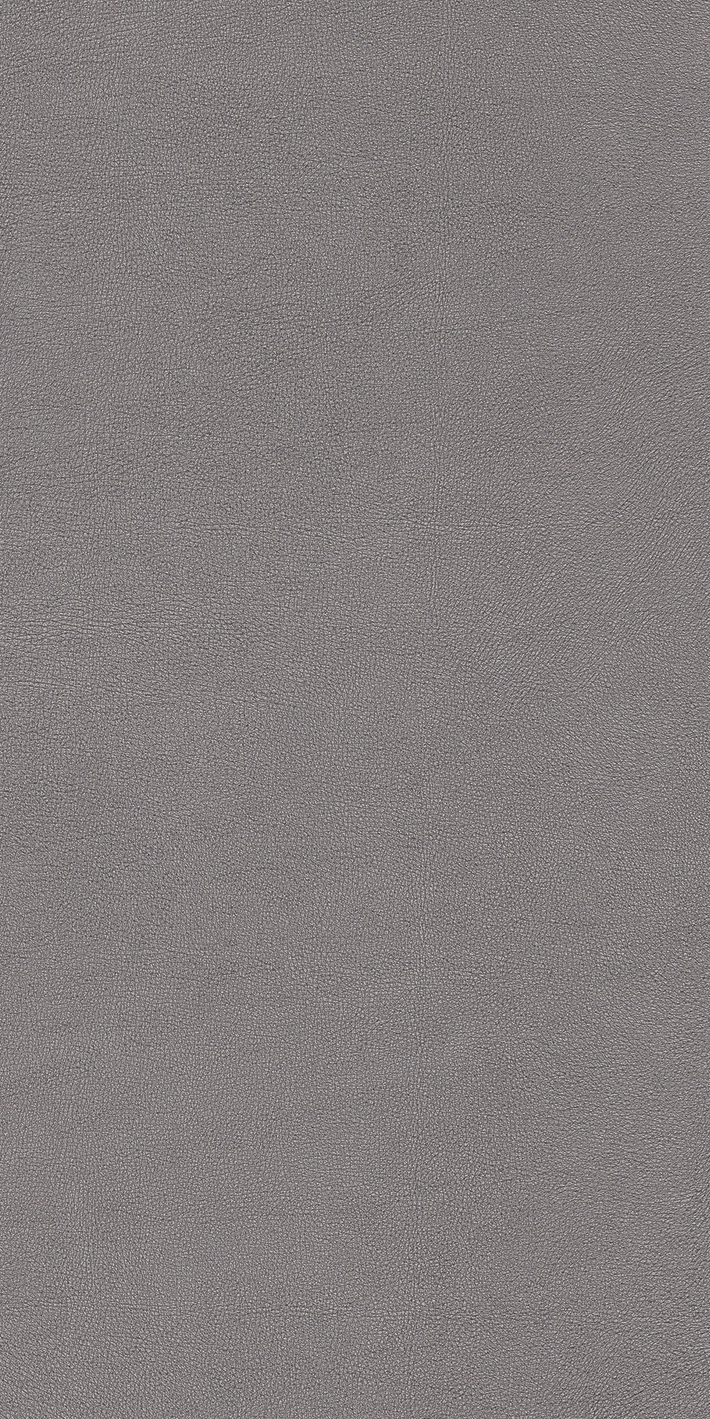 Cedit Chimera Radici Grigio Mat 6Mm 60X120R 769475