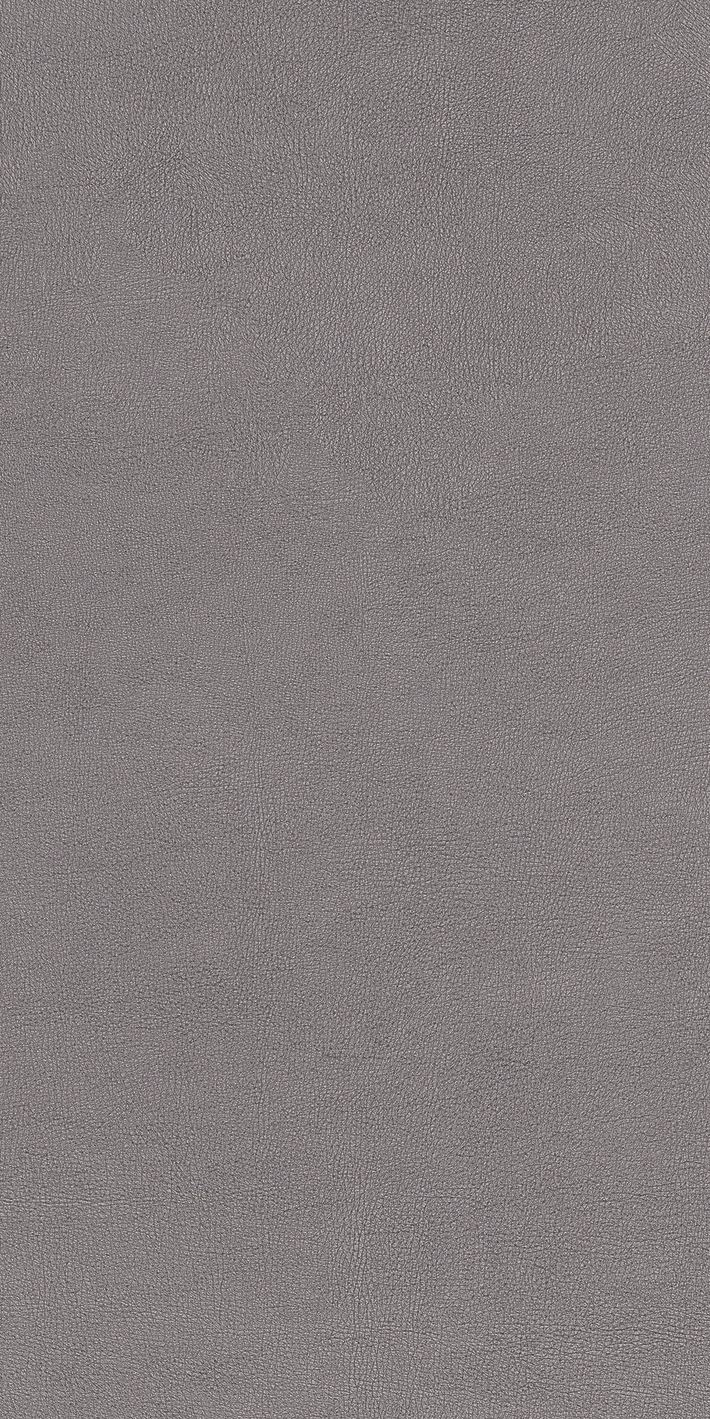 Cedit Chimera Radici Grigio Mat 6Mm 60X120R 769475