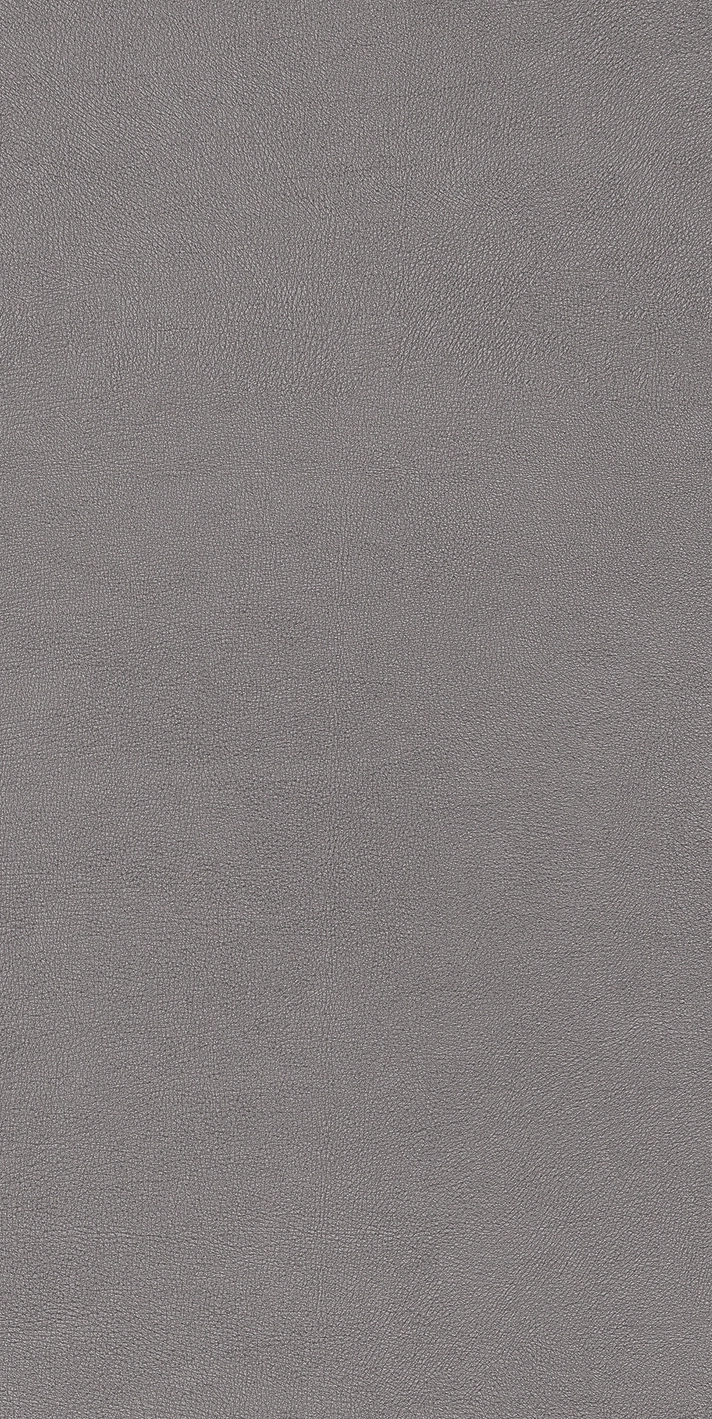 Cedit Chimera Radici Grigio Mat 6Mm 60X120R 769475