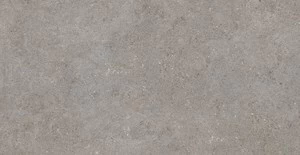 Cercom Grey In R10 Ret Ra 30X60 1064883