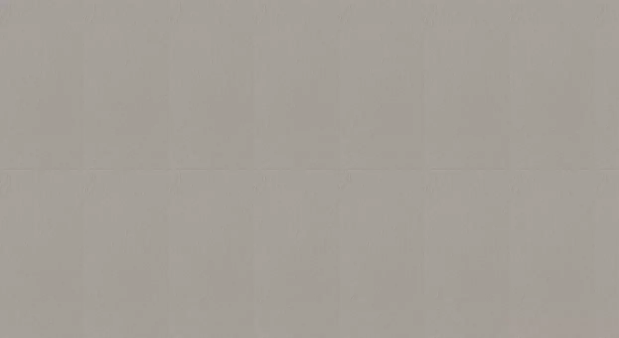 CIR ELEPHANT SKIN RET 60X120 1074142