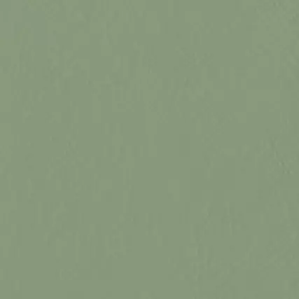 CIR GREEN GURU RET 60X60 1075313