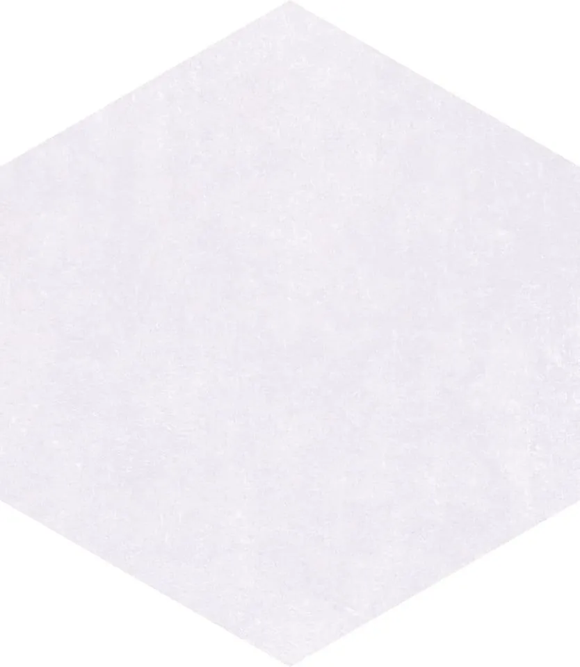 Cerdomus Fondi Nat.Rettificat 88636