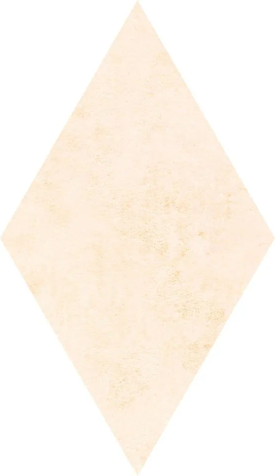 Cerdomus Fondi Nat.Rettificat 88640