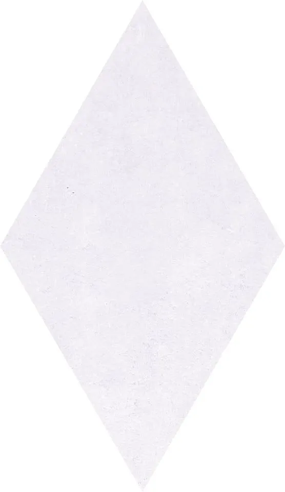 Cerdomus Fondi Nat.Rettificat 88644