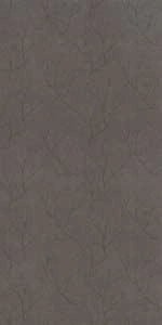 Floor Gres Earth D. Fronds A_Car_Gr Com.6Mm120X240R 772731