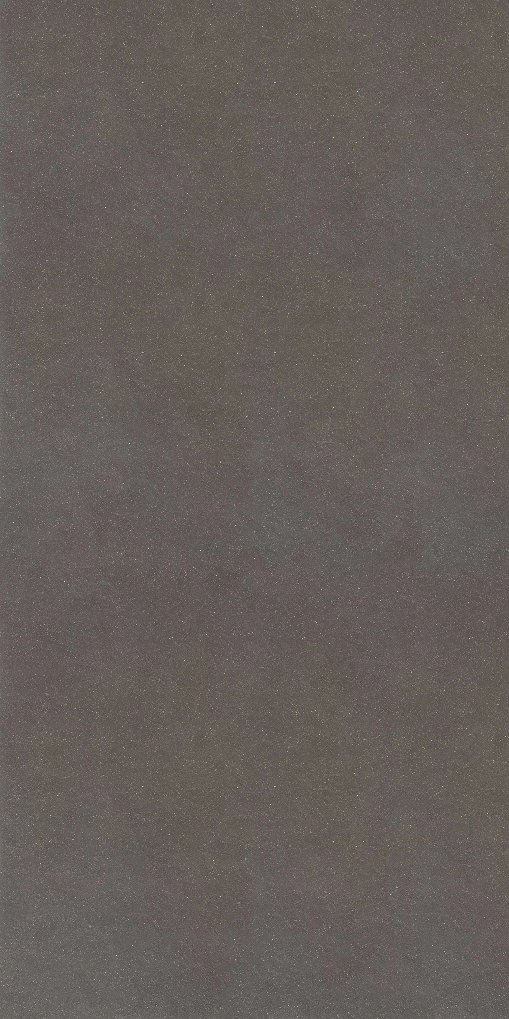 Floor Gres Earthtech/ Carbon_Gr Nat 6Mm 120X240R 771464