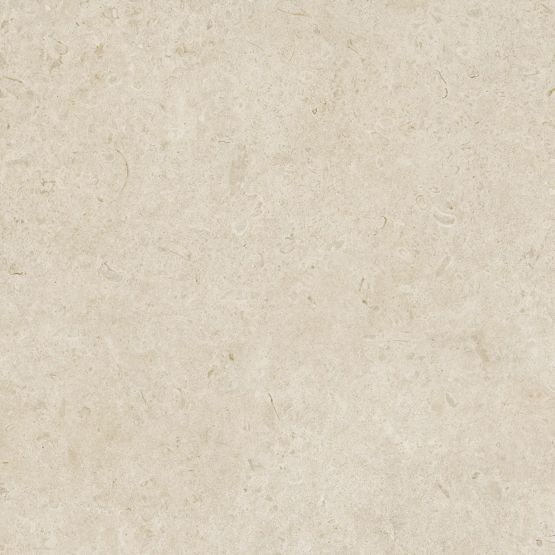 Ragno Eterna Arena Str Rt RA7W