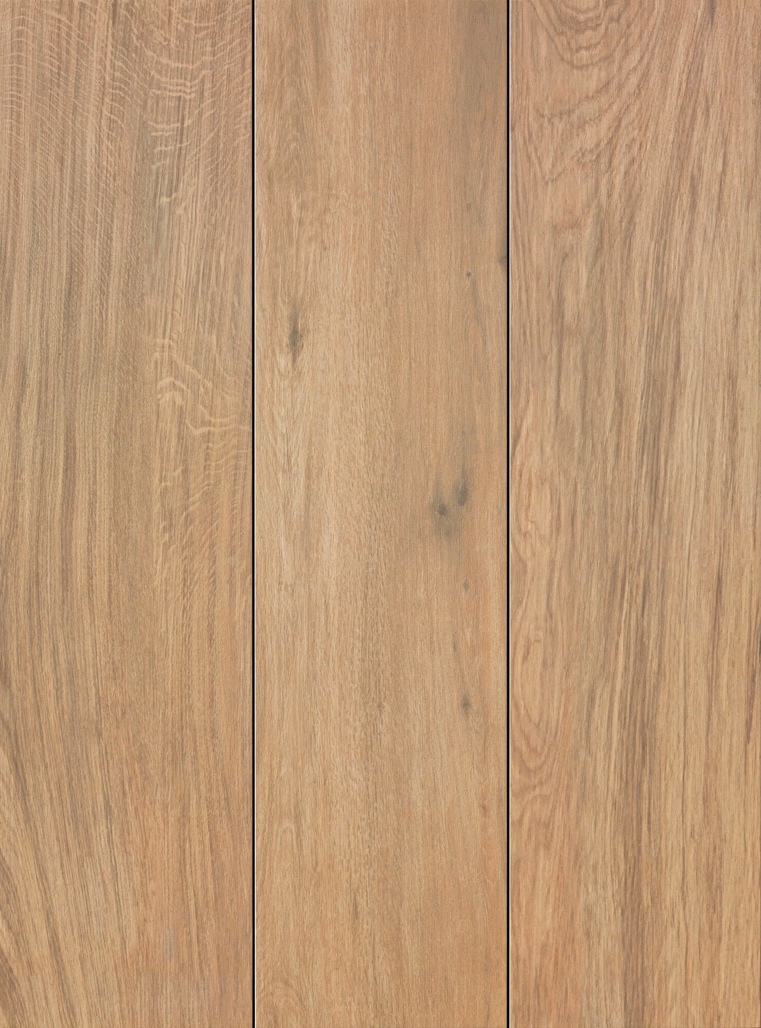 Atlas Concorde Etic Rovere 22,5X90 AJ8D