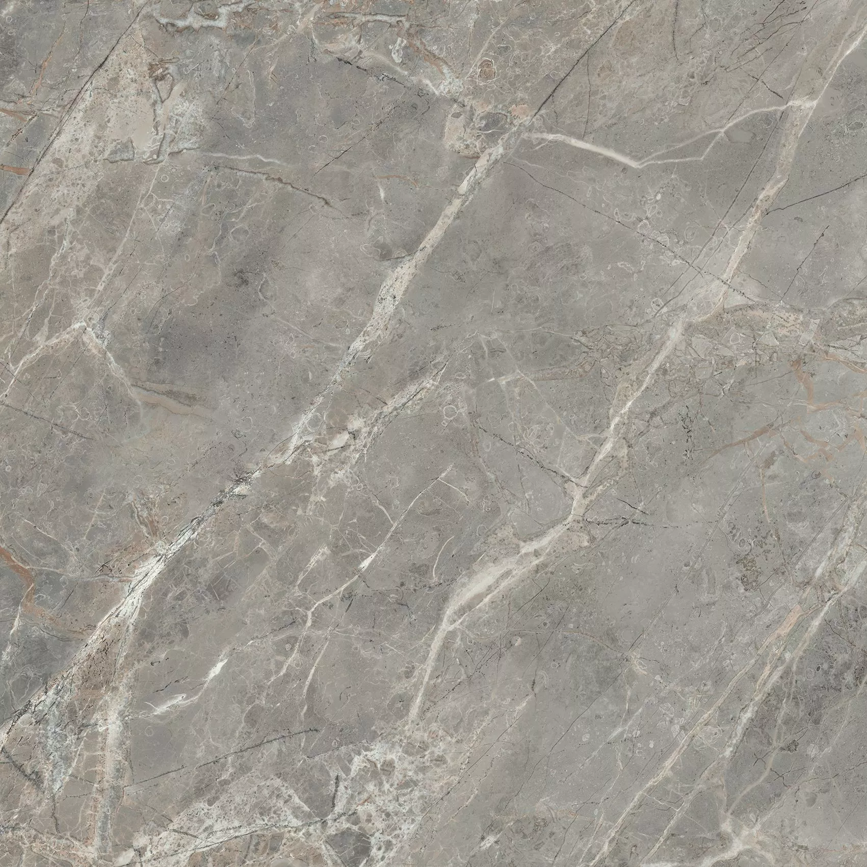 Florim Rex Etoile Gris Glossy 60X60 Ret 761696