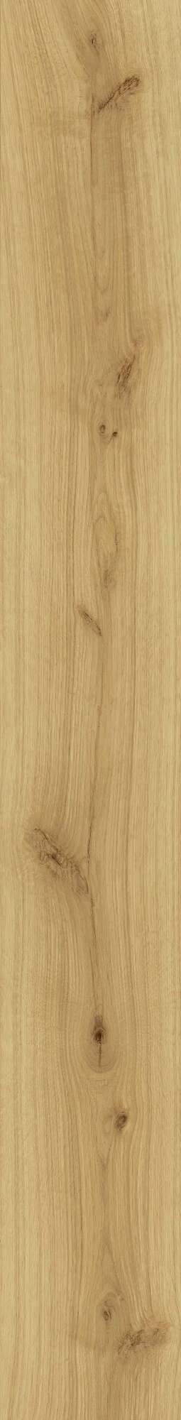 Atlas Concorde Exence Almond 18,5X150  AL87