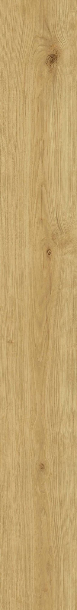 Atlas Concorde Exence Almond 18,5X150  AL87