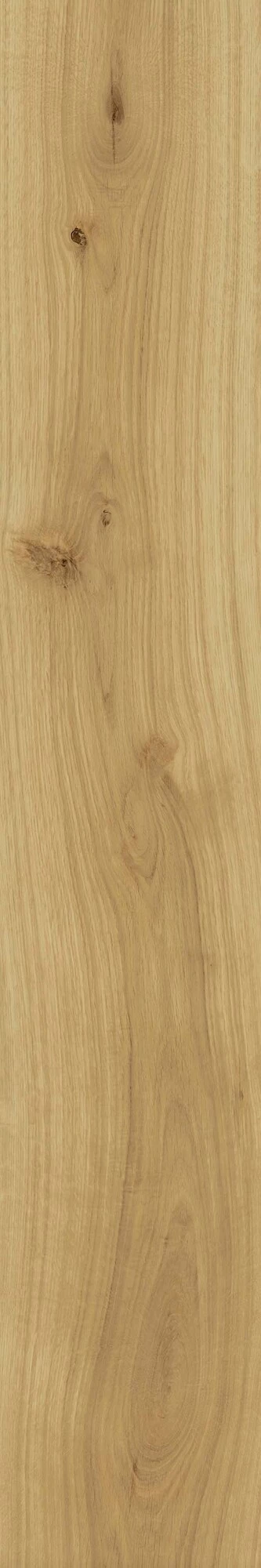 Atlas Concorde Exence Almond 20X120  AO48