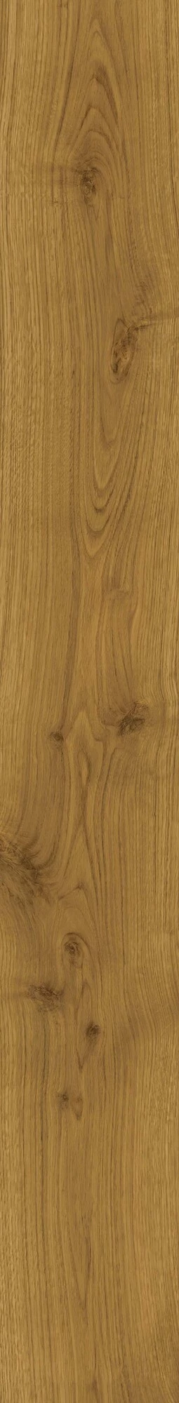 Atlas Concorde Exence Amber 18,5X150  AL88