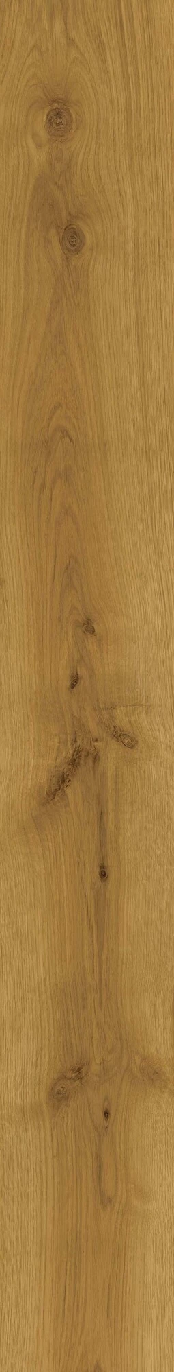 Atlas Concorde Exence Amber 18,5X150  AL88