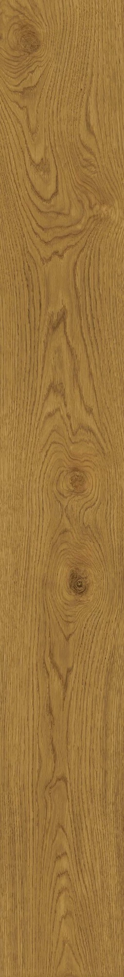 Atlas Concorde Exence Amber 18,5X150  AL88