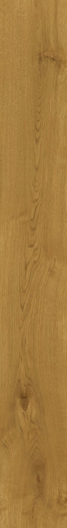 Atlas Concorde Exence Amber 18,5X150 Grip  AOUJ