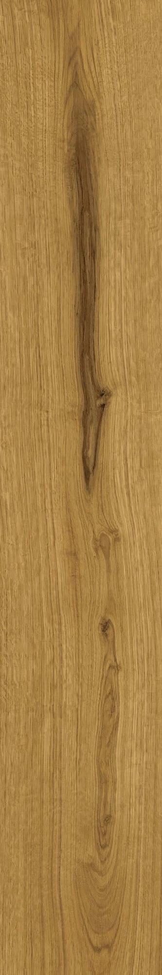 Atlas Concorde Exence Amber 20X120  AO49