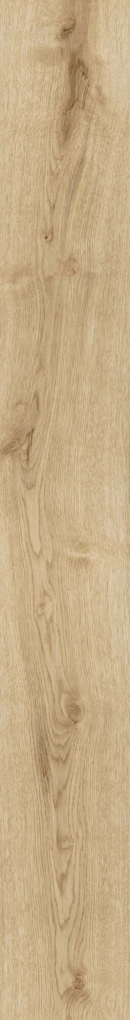 Atlas Concorde Exence Vanilla 18,5X150 Grip  AOUK