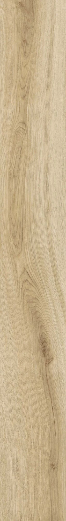 Atlas Concorde Exence Vanilla 18,5X150 Grip  AOUK