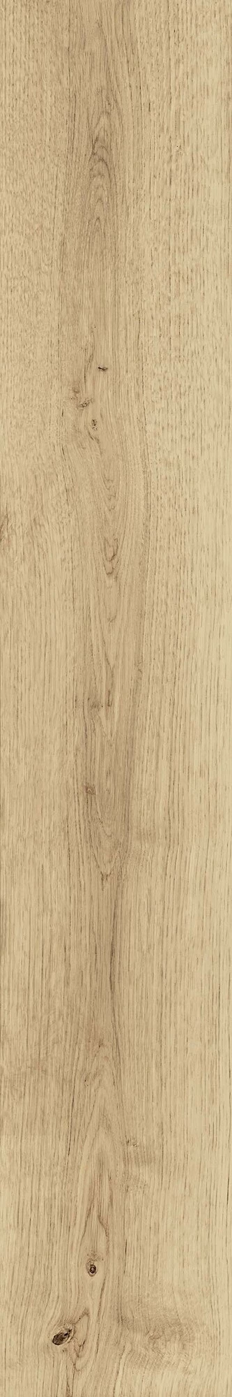 Atlas Concorde Exence Vanilla 20X120  AO47