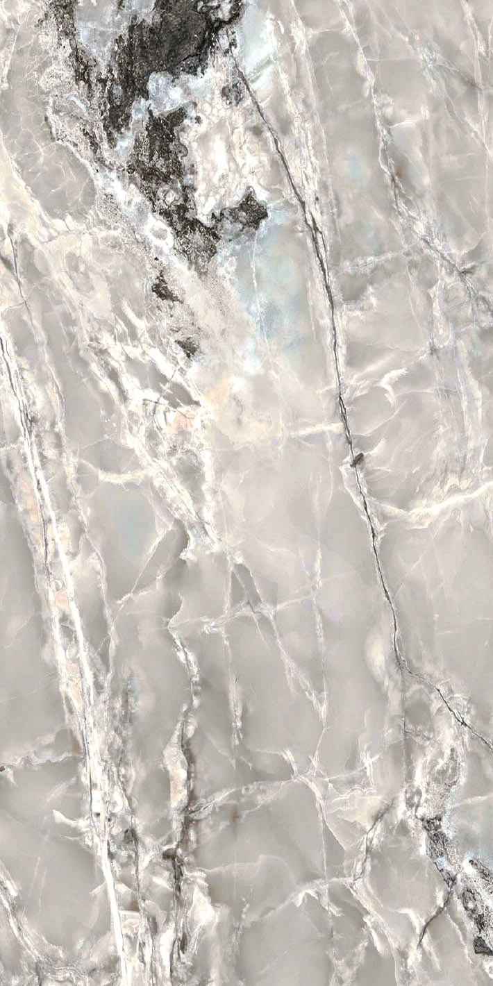 Florim Casa Dolce Casa Onyx&More Silver Blend Sat 6Mm 60X120R  765959