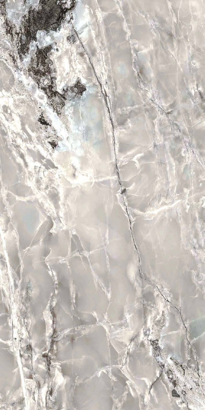 Florim Casa Dolce Casa Onyx&More Silver Blend Sat 6Mm 60X120R  765959