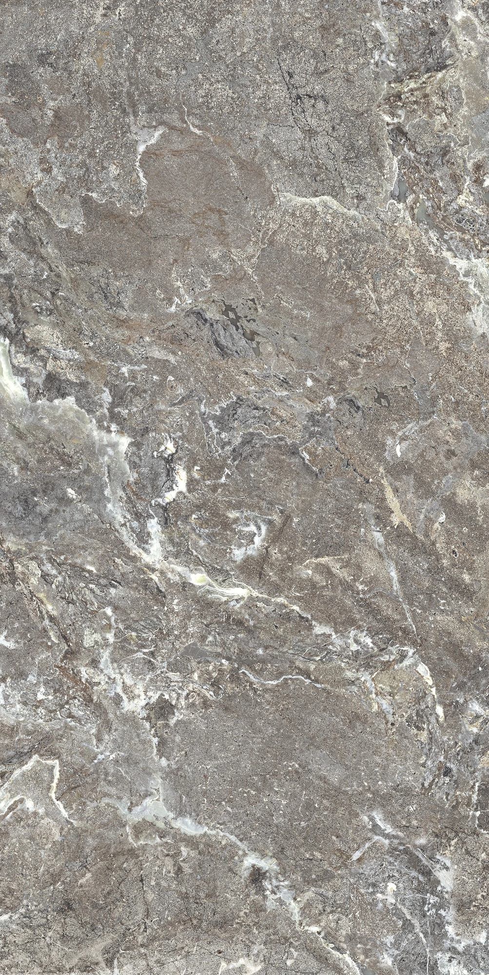 Florim Casa Dolce Casa Onyx&More Silver Porphyry Str 60X120 Ret  765473