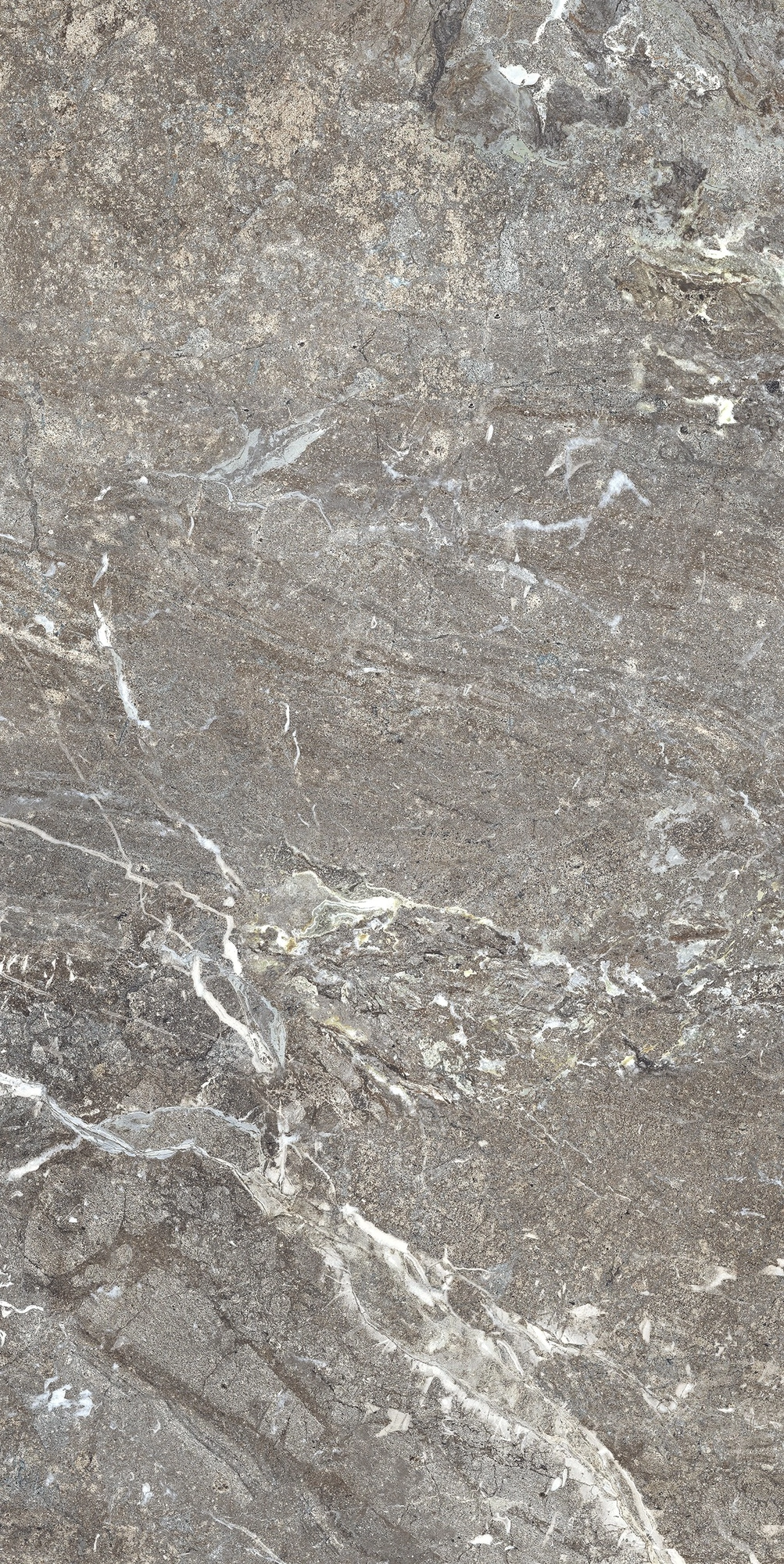 Florim Casa Dolce Casa Onyx&More Silver Porphyry Str 60X120 Ret  765473