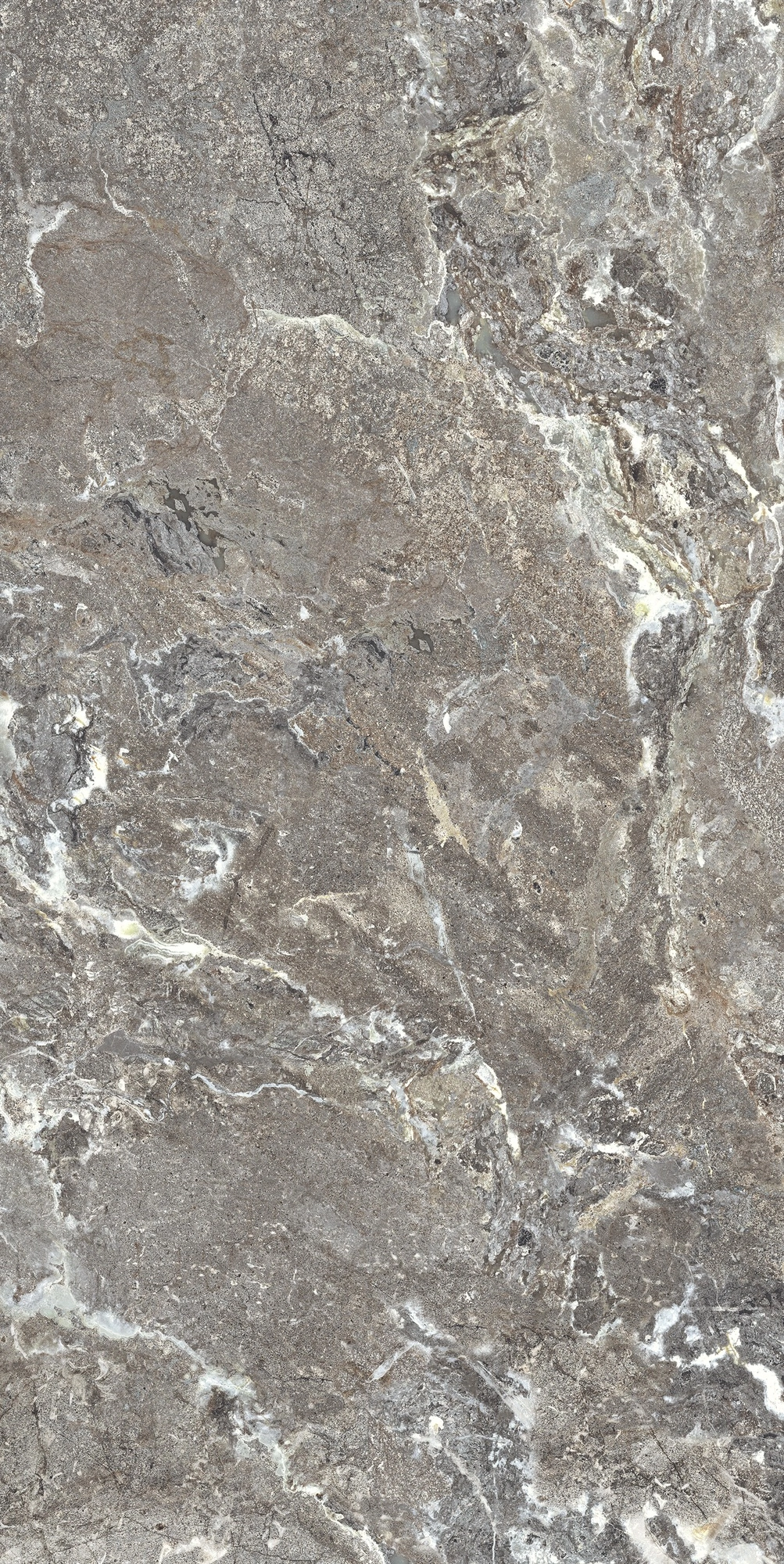 Florim Casa Dolce Casa Onyx&More Silver Porphyrystr20Mm60X120R  768512