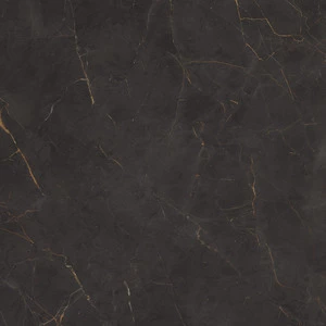 Cerdomus Fondinat.Rettificat60X60 79969