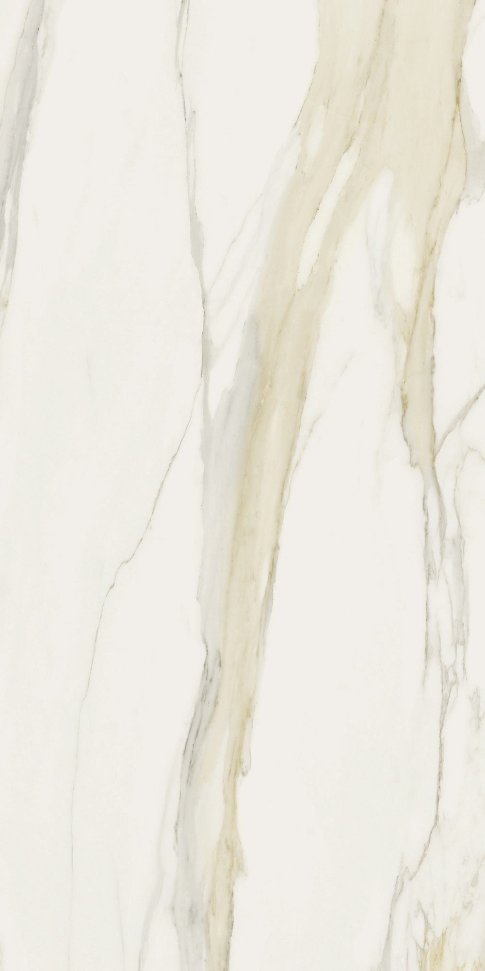 Florim Rex I Classici Cal.Gold 6Mm Matte 120X240 Re 753280