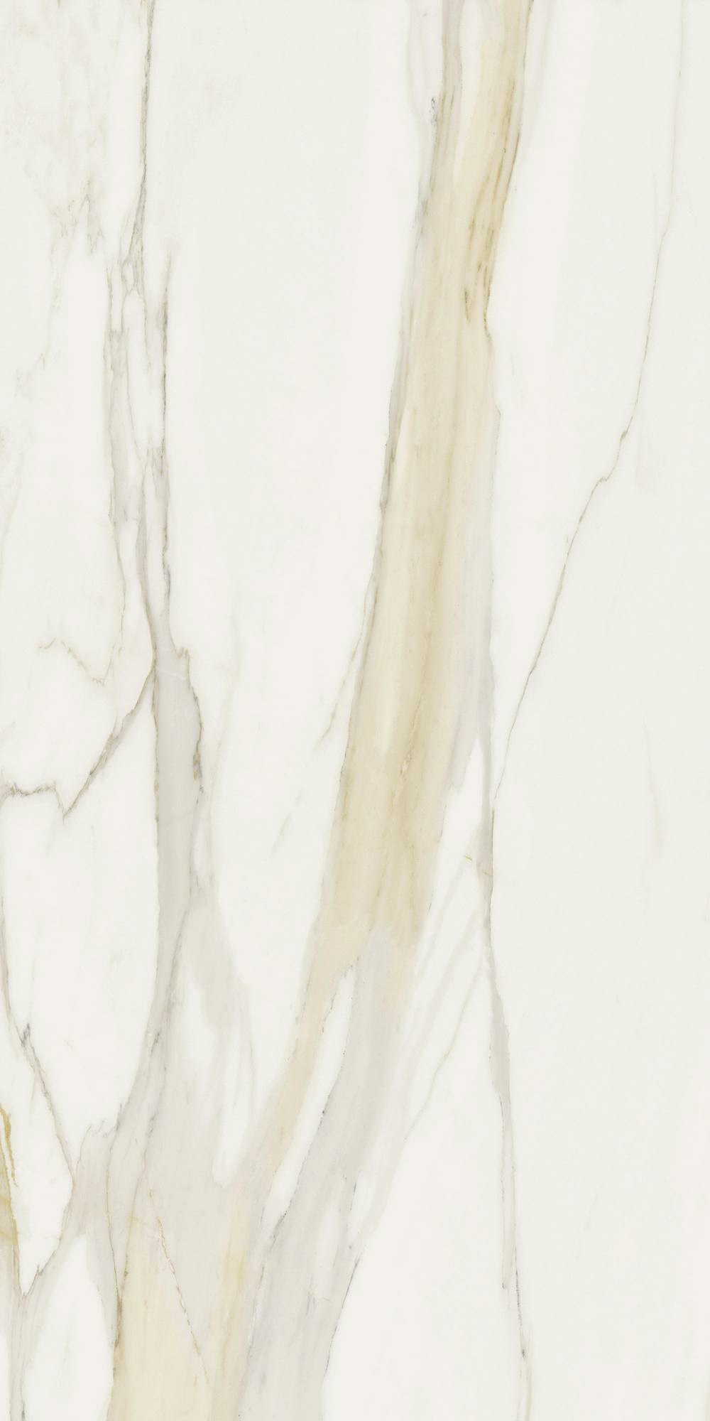 Florim Rex I Classici Cal.Gold 6Mm Matte 120X240 Re 753280