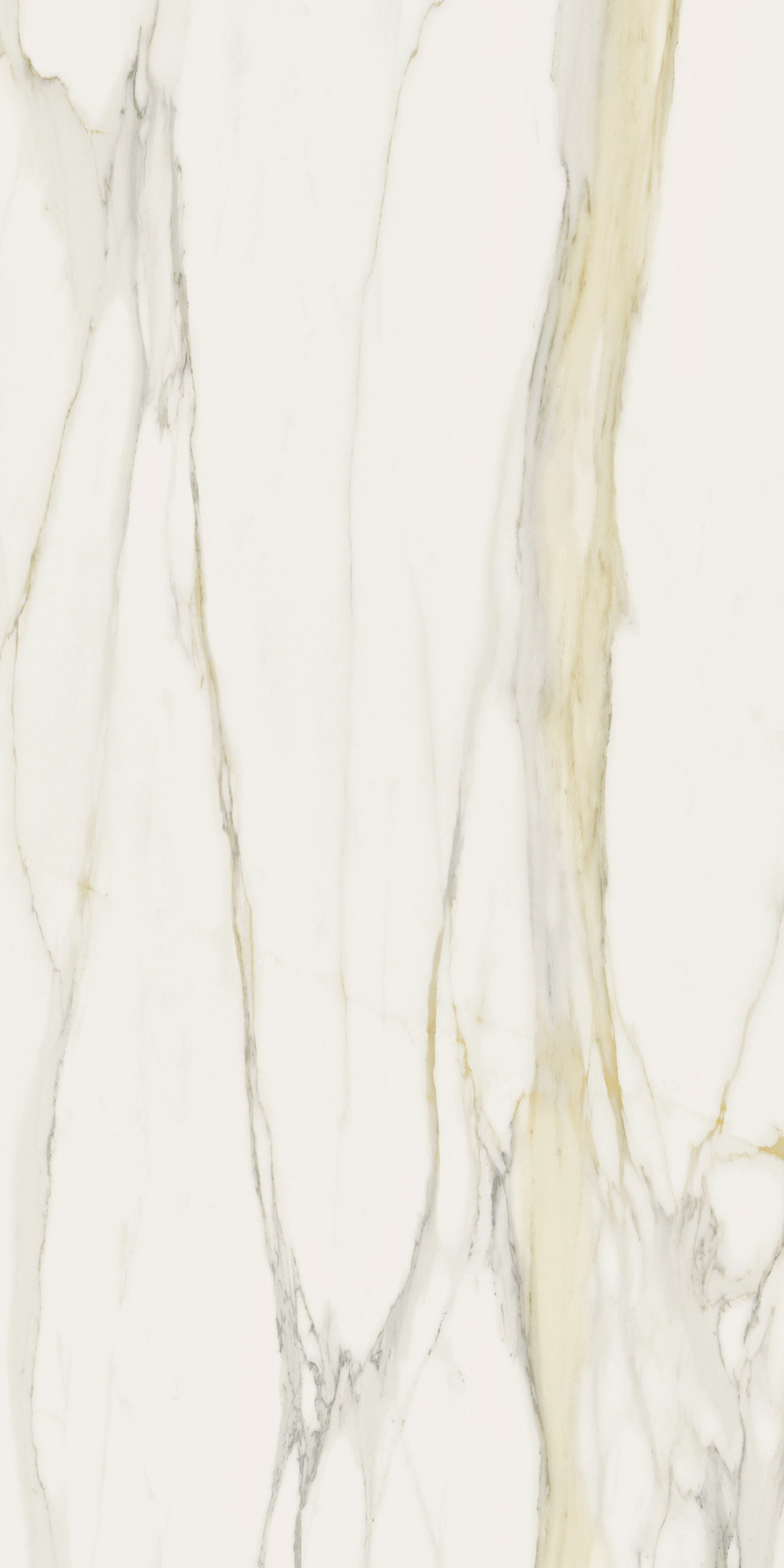 Florim Rex I Classici Cal.Gold 6Mm Matte 120X240 Re 753280