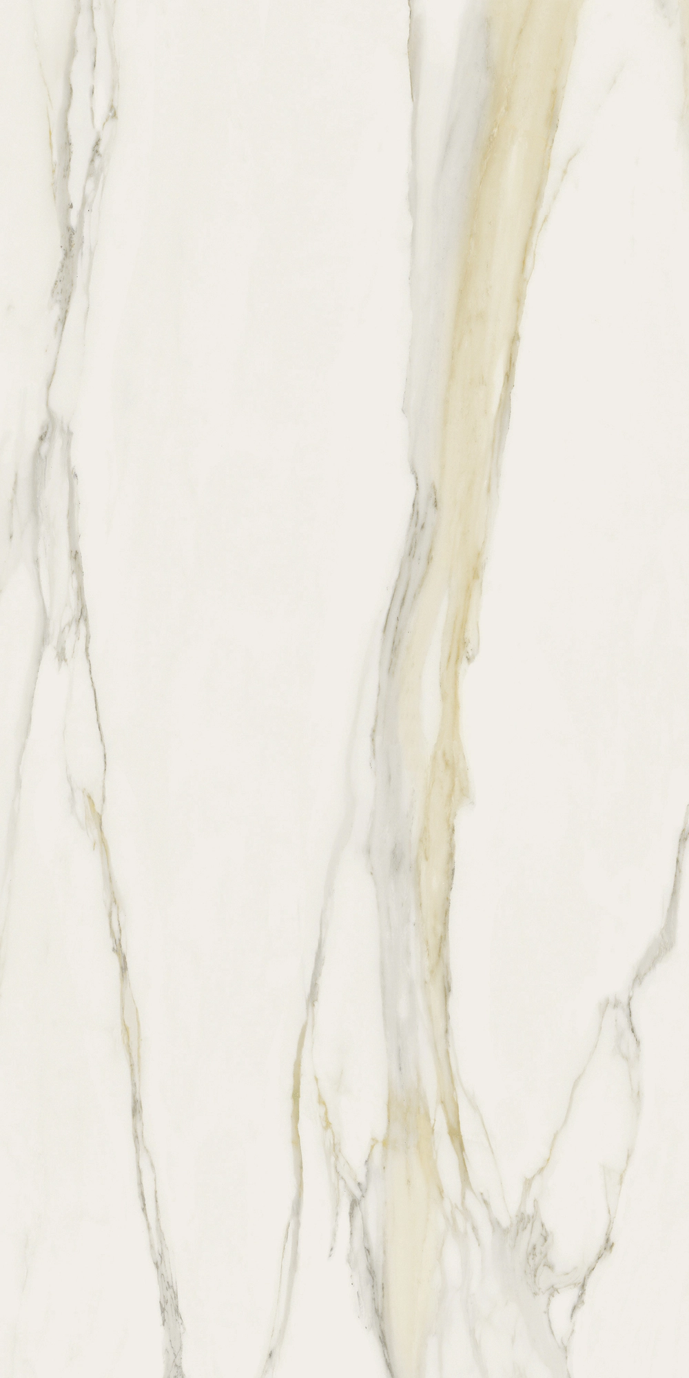 Florim Rex I Classici Cal.Gold 6Mm Matte 120X240 Re 753280