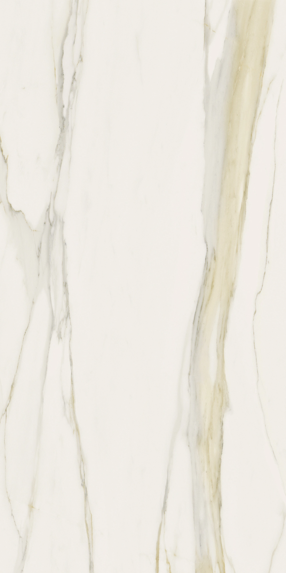 Florim Rex I Classici Cal.Gold 6Mm Matte 120X240 Re 753280