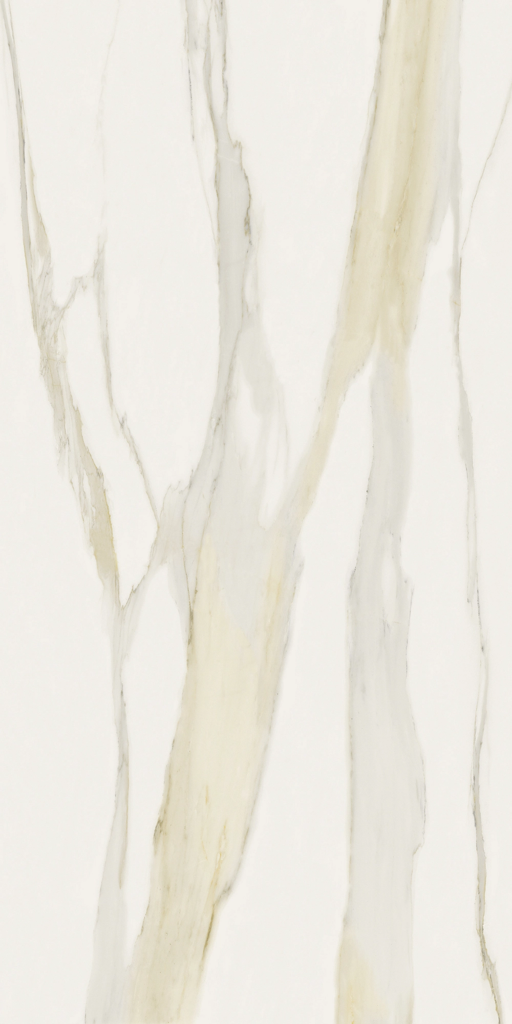 Florim Rex I Classici Cal.Gold 6Mm Matte 120X240 Re 753280