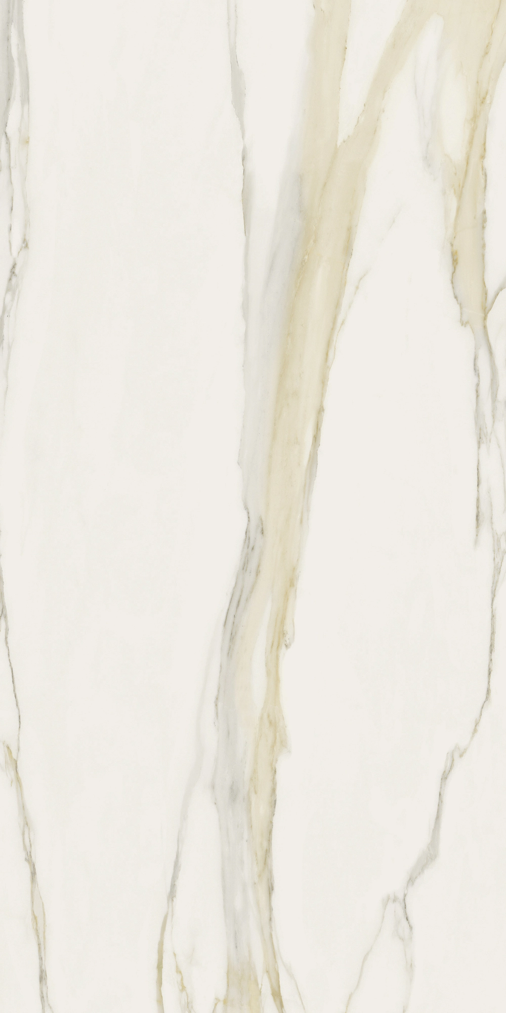 Florim Rex I Classici Cal.Gold 6Mm Matte 120X240 Re 753280