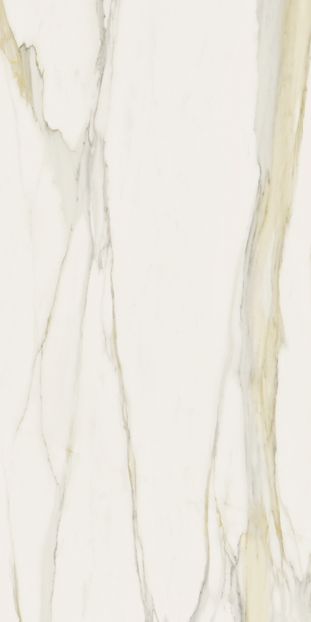 Florim Rex I Classici Cal.Gold 6Mm Matte 120X240 Re 753280