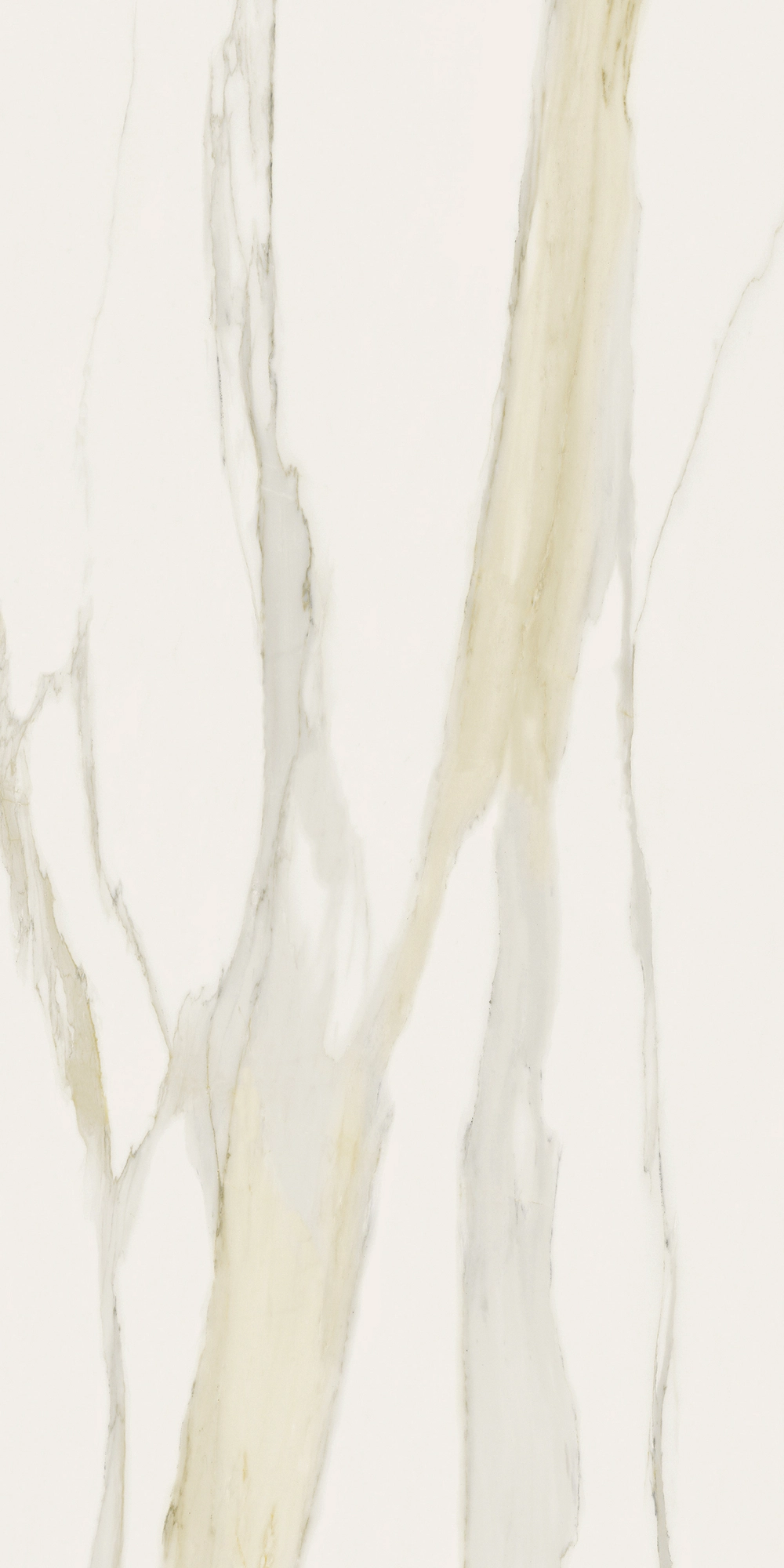 Florim Rex I Classici Cal.Gold 6Mm Matte 120X240 Re 753280